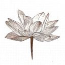Avatar for user "tshahb"
