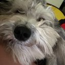 Avatar for user "your_fragranceguy"