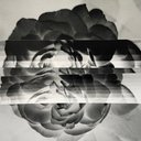 Avatar for user "rosemuse"