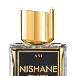 Ani