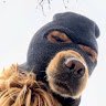 Avatar for user "anonymous21568"