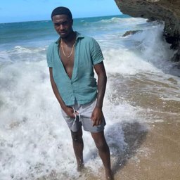 Avatar for user "terrionjohnson"