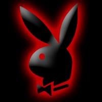 Avatar for user "roman"