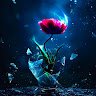 Avatar for user "amirbagheri"