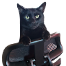 Avatar for user "henrysanchez"