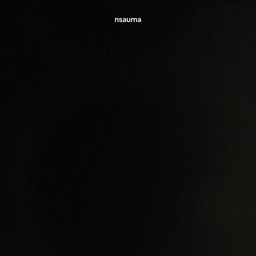Avatar for user "nsauma"
