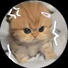 Avatar for user "arr_wang"