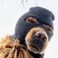 Avatar for user "anonymous21568"