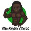 Avatar for user "stackmaintain"