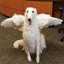 Avatar for user "marshmallowgirl"