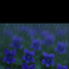 Avatar for user "shrinking_violet"