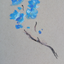 Avatar for user "stevie"