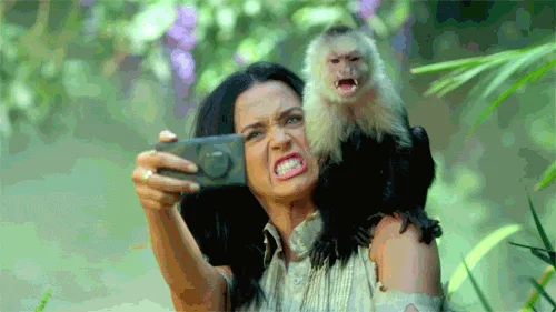 giphy (42).gif