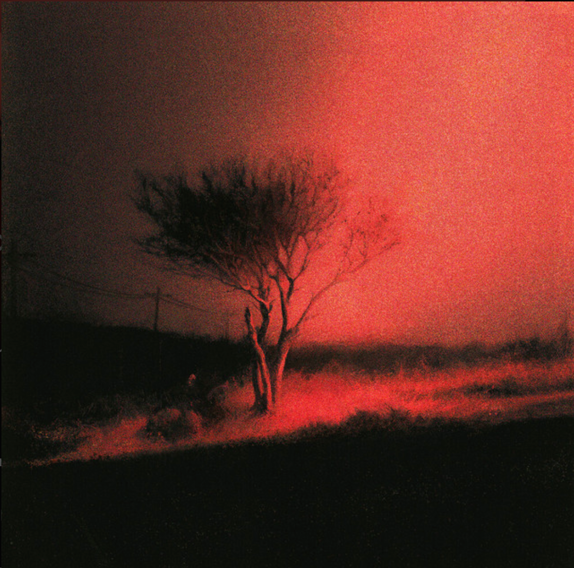 Album cover for Joji's Piss In The Wind - a lone tree in a grainy field under a red sky