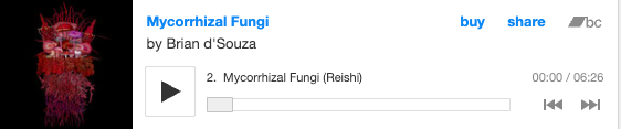 Bandcamp player for Mycorrhizal Fungi by Brian d'Souza, track Mycorrhizal Fungi (Reishi)