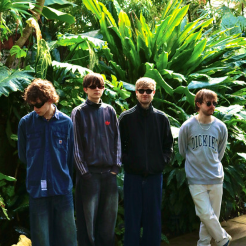 Happy Neighbours, four lads in sunglasses in front of tropical plants