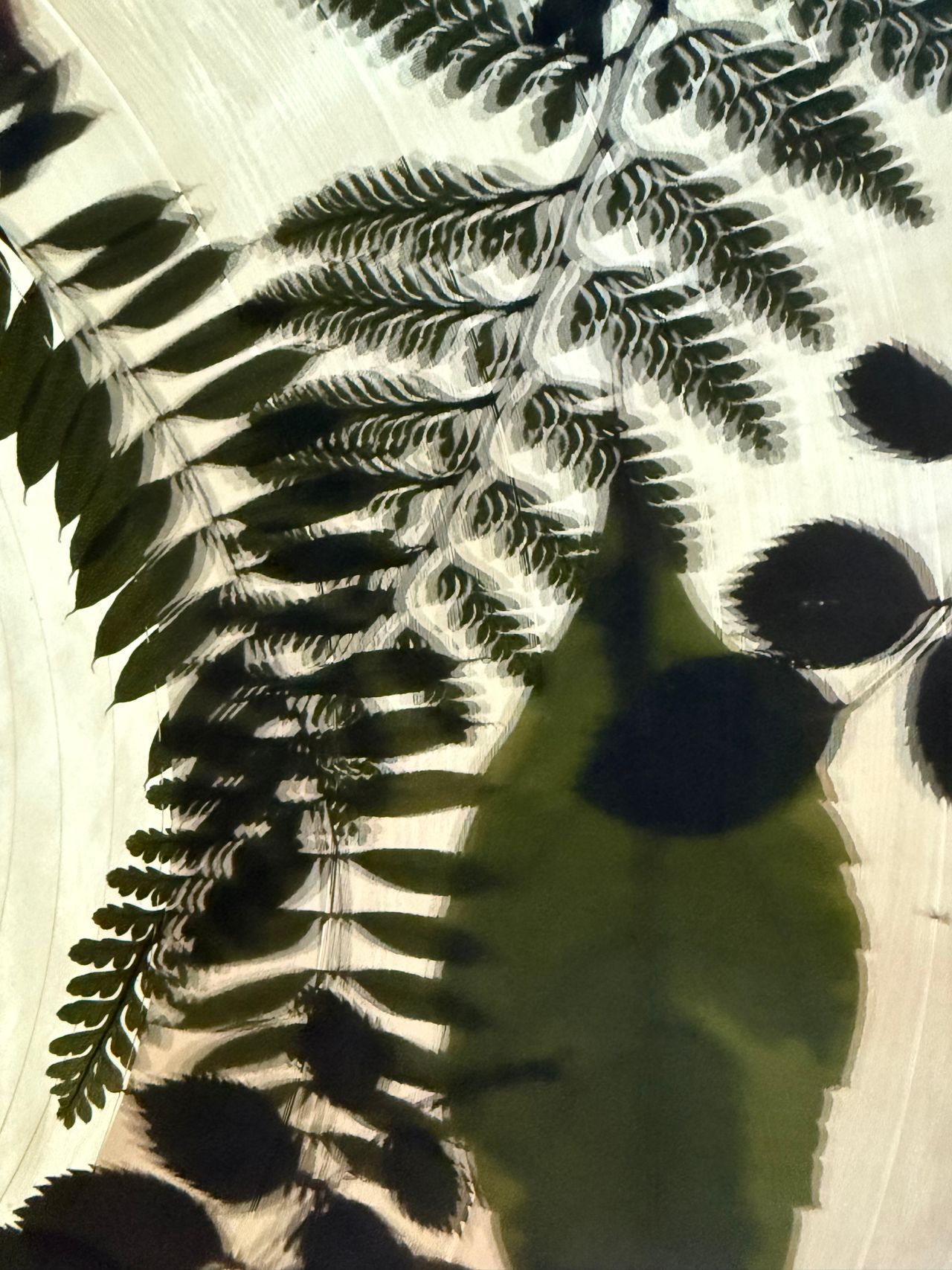 Close-up of the limited release vinyl with a pressed fern and leaf pattern