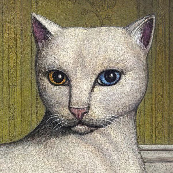 Album cover for Mitski's Nothing's About to Happen to Me - painting of a white cat with odd-coloured eyes
