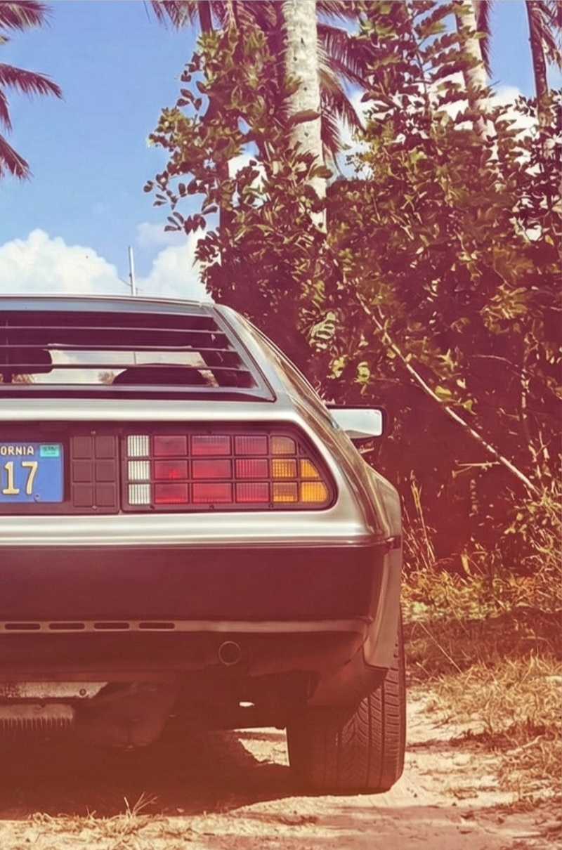 Rear of a DeLorean parked under palm trees