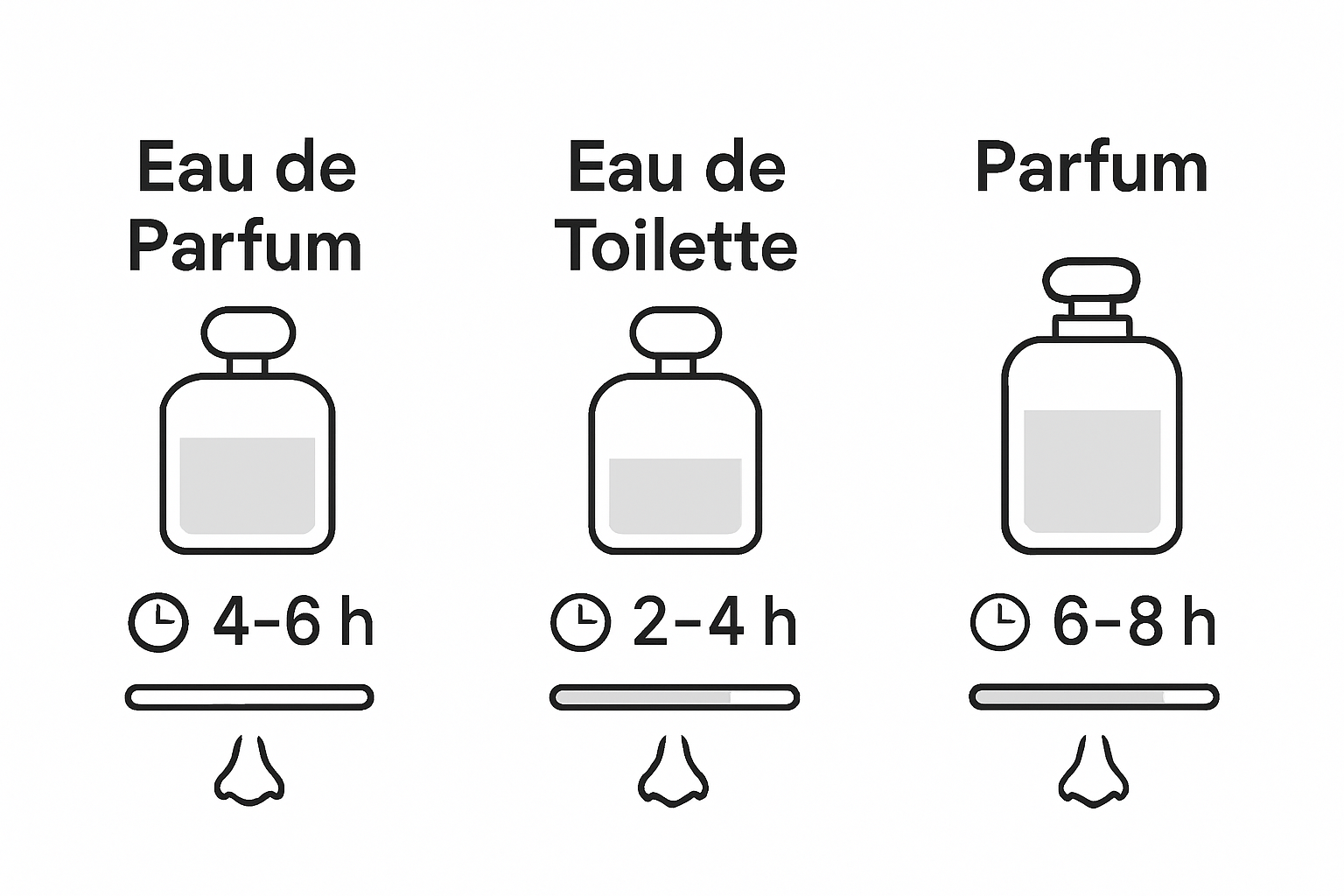 Infographic comparing perfume concentration and longevity