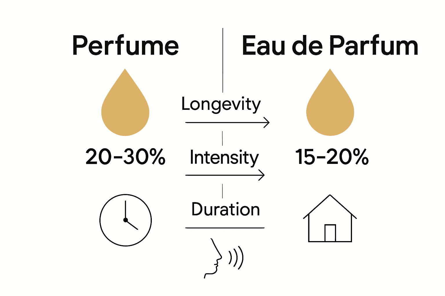 Infographic comparing perfume and eau de parfum oil concentrations and longevity.