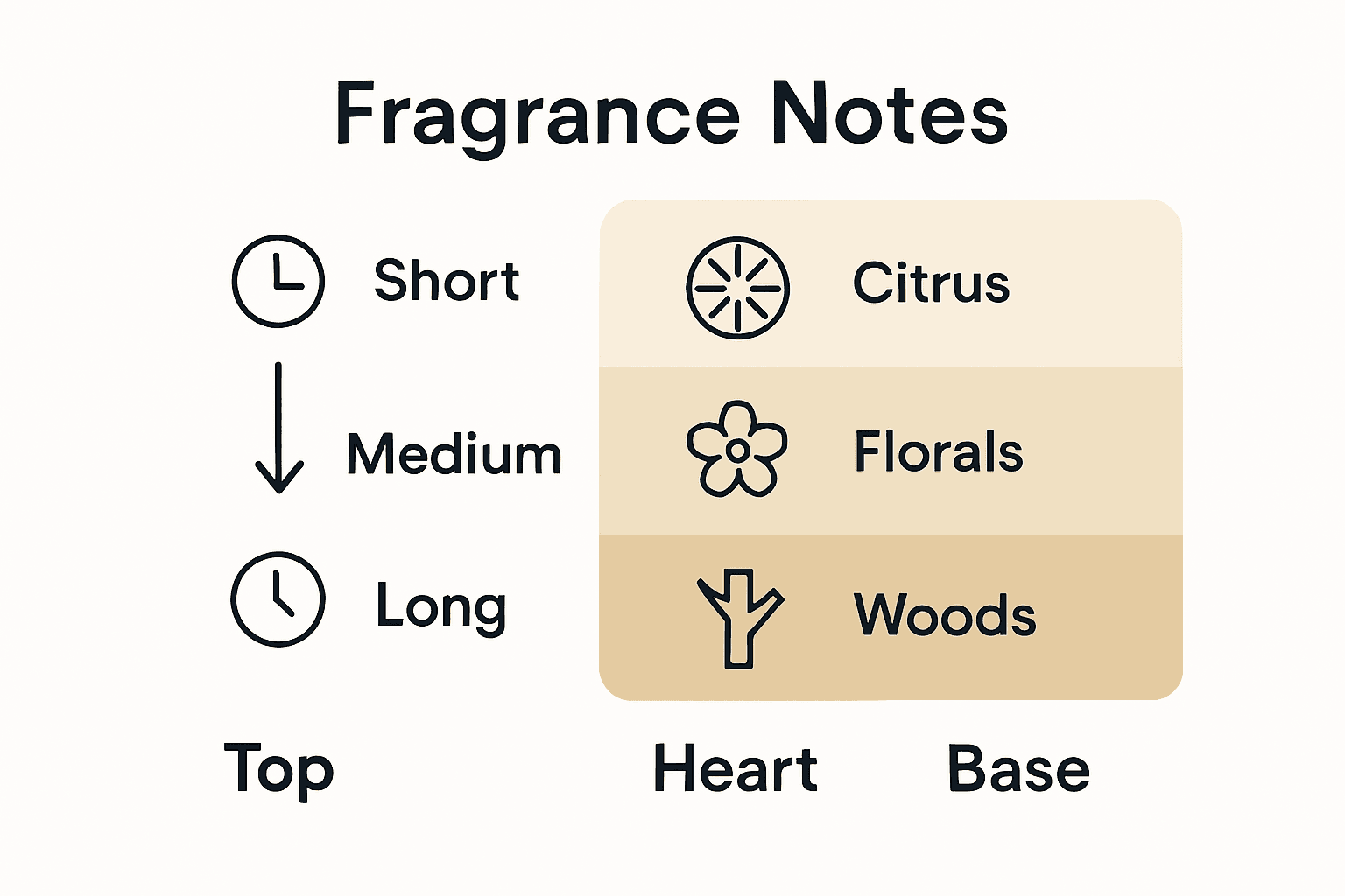 Infographic comparing top, heart, and base perfume notes