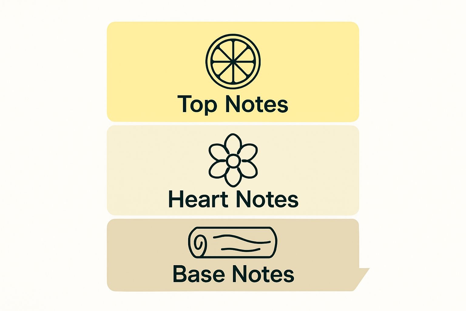 Infographic classifying top, heart, and base fragrance notes