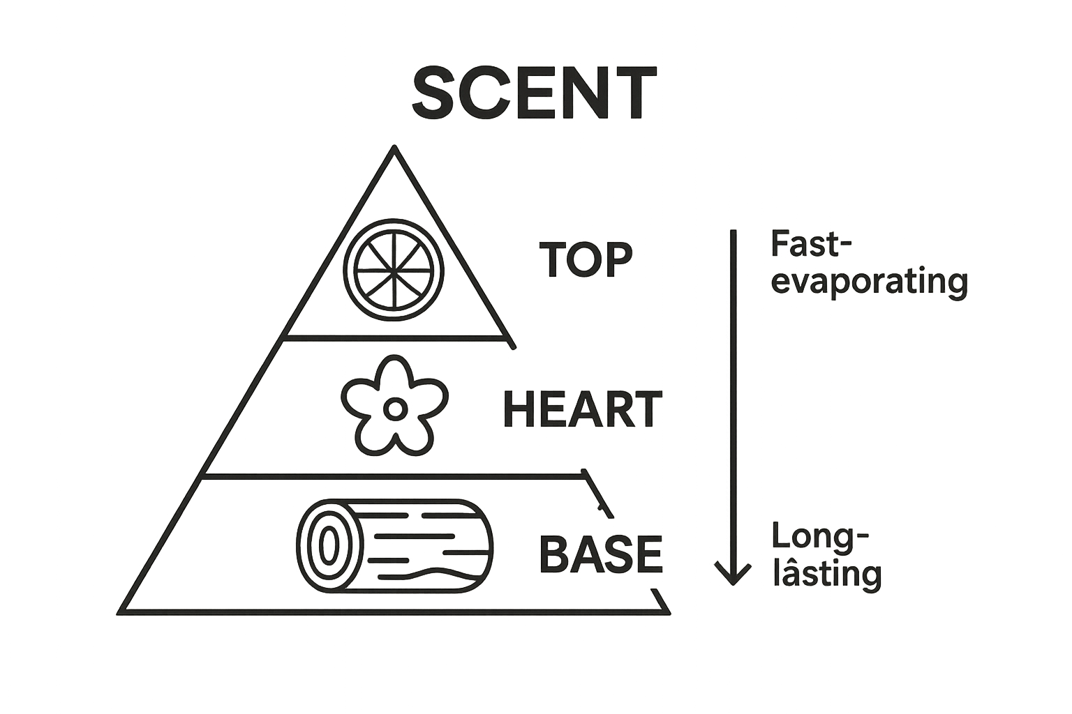 Fragrance note pyramid showing top, heart, and base layers with icons.
