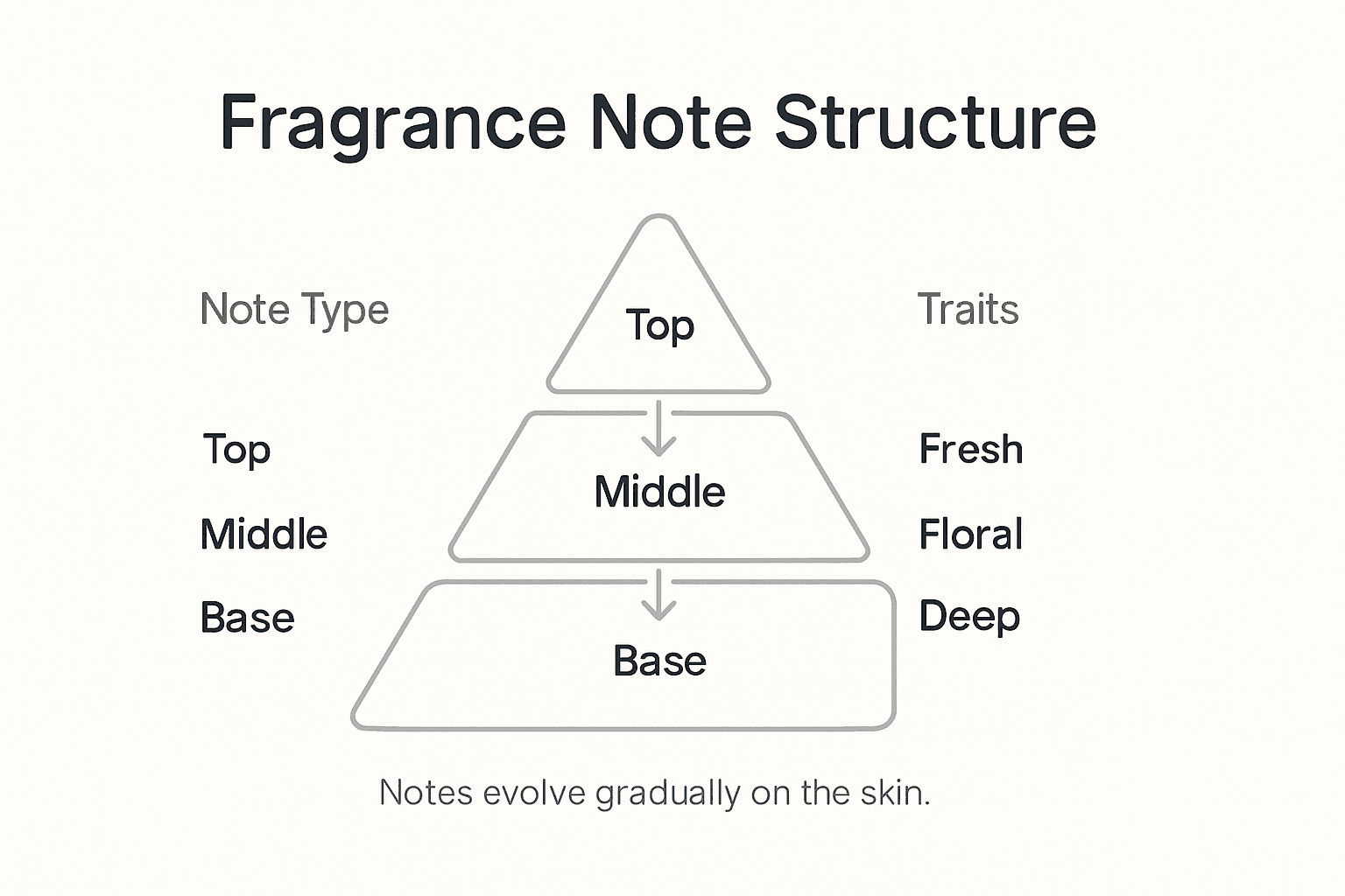 Infographic showing fragrance note structure and traits