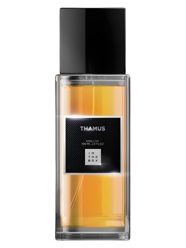 Thamus by In The Box perfume bottle