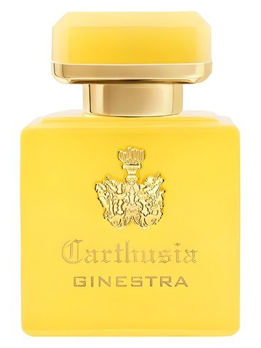 Intenso di Ginestra by Carthusia perfume bottle