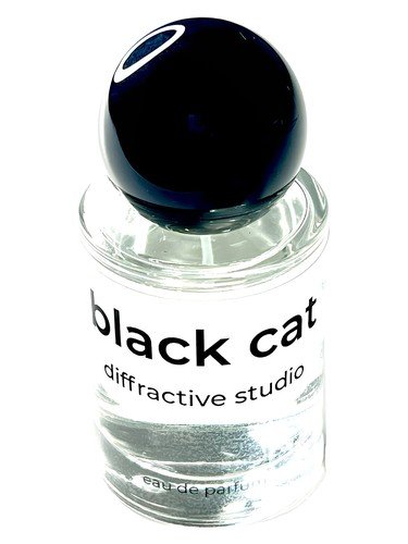 Black Cat by Diffractive Studio