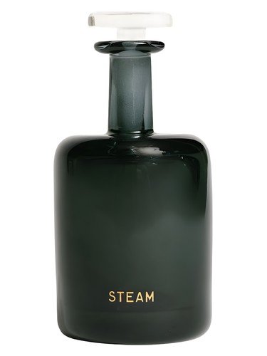 Steam by Perfumer H perfume bottle
