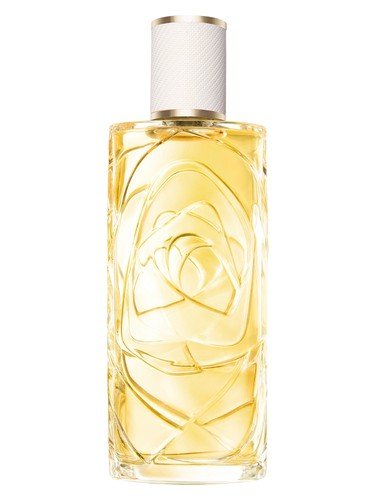 Ô Zenith by Lancôme perfume bottle