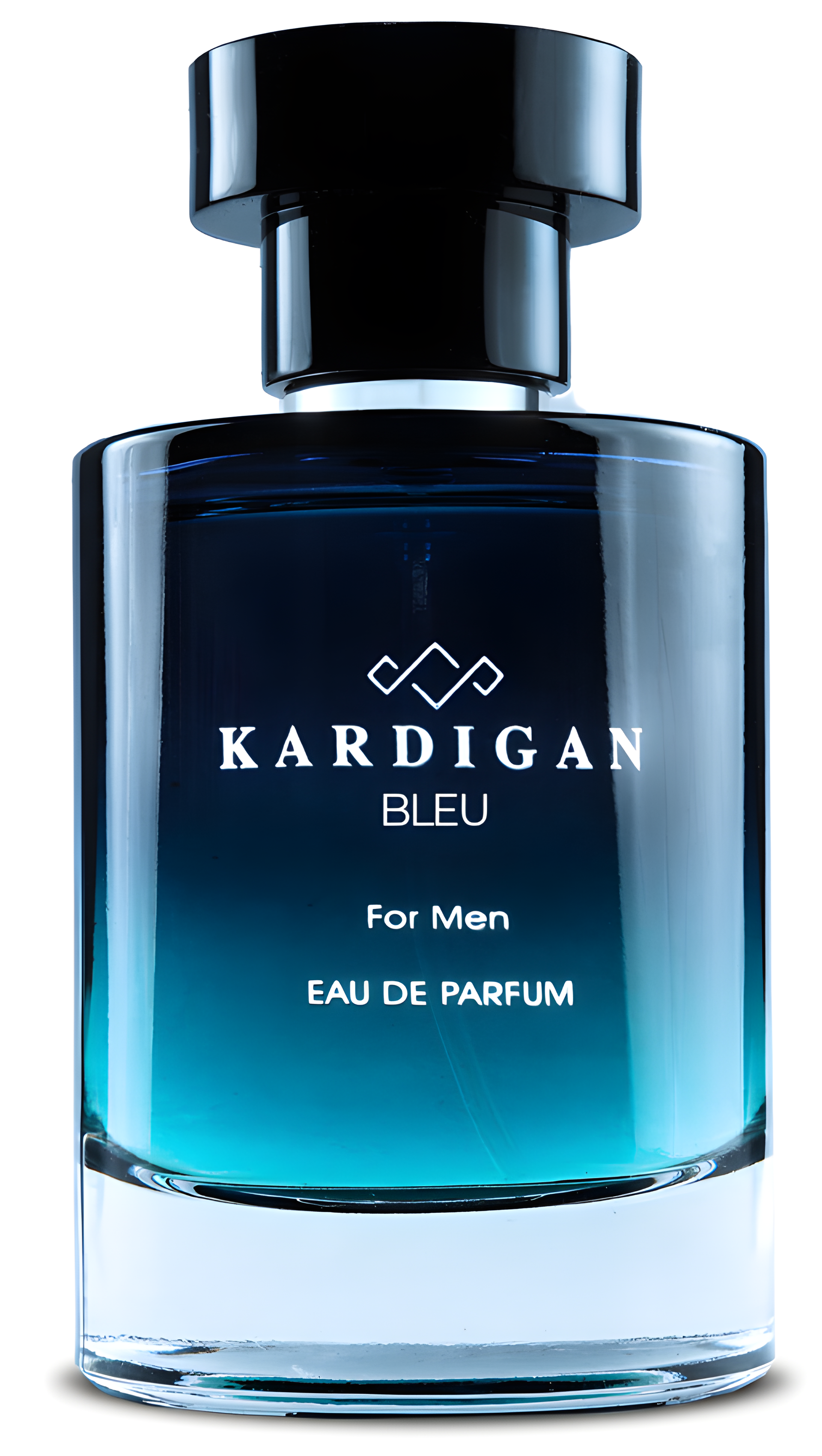 Kardigan Bleu by L'Orientale Fragrances perfume bottle