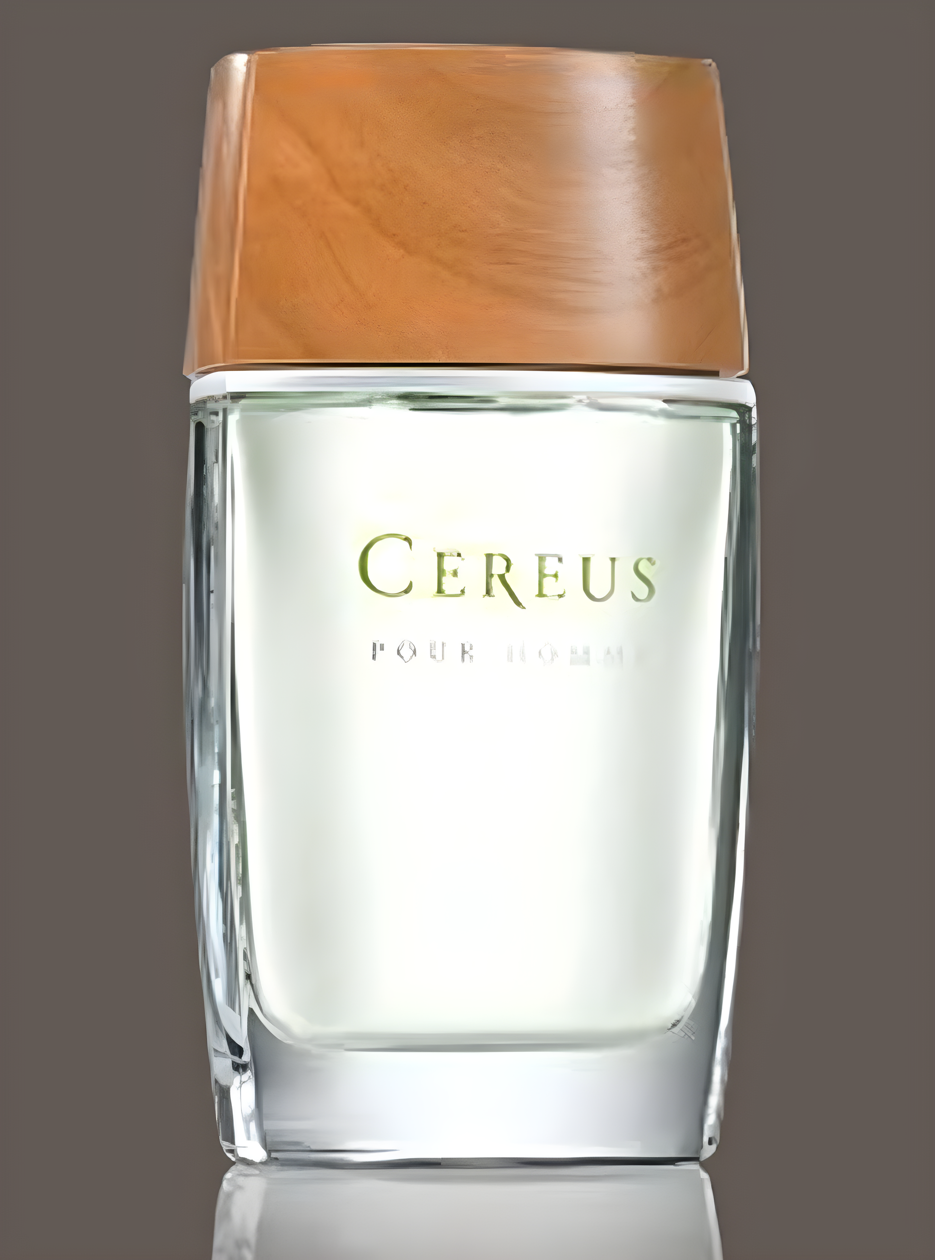 Cereus No.5 by Cereus perfume bottle