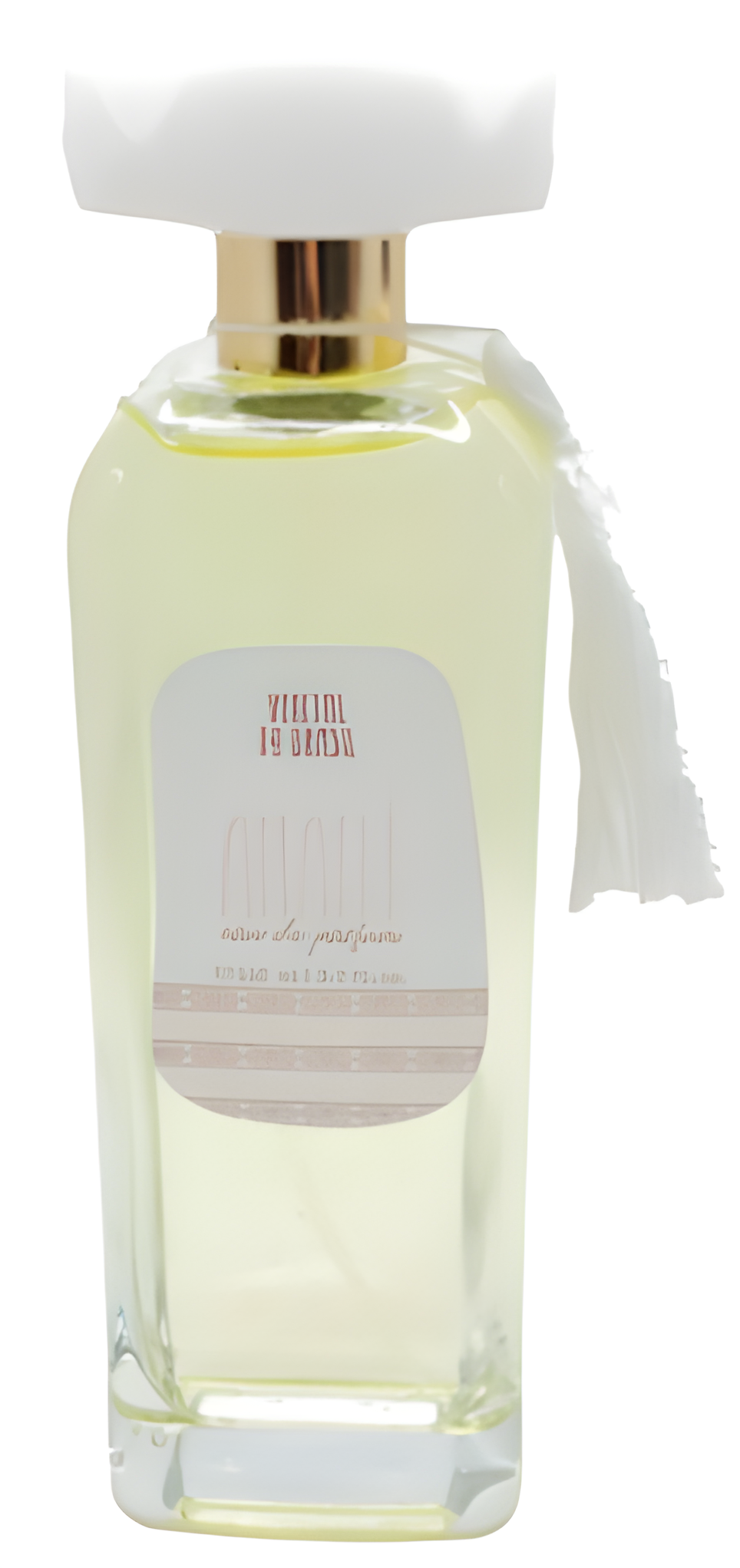 Anahí by Flora Pura perfume bottle
