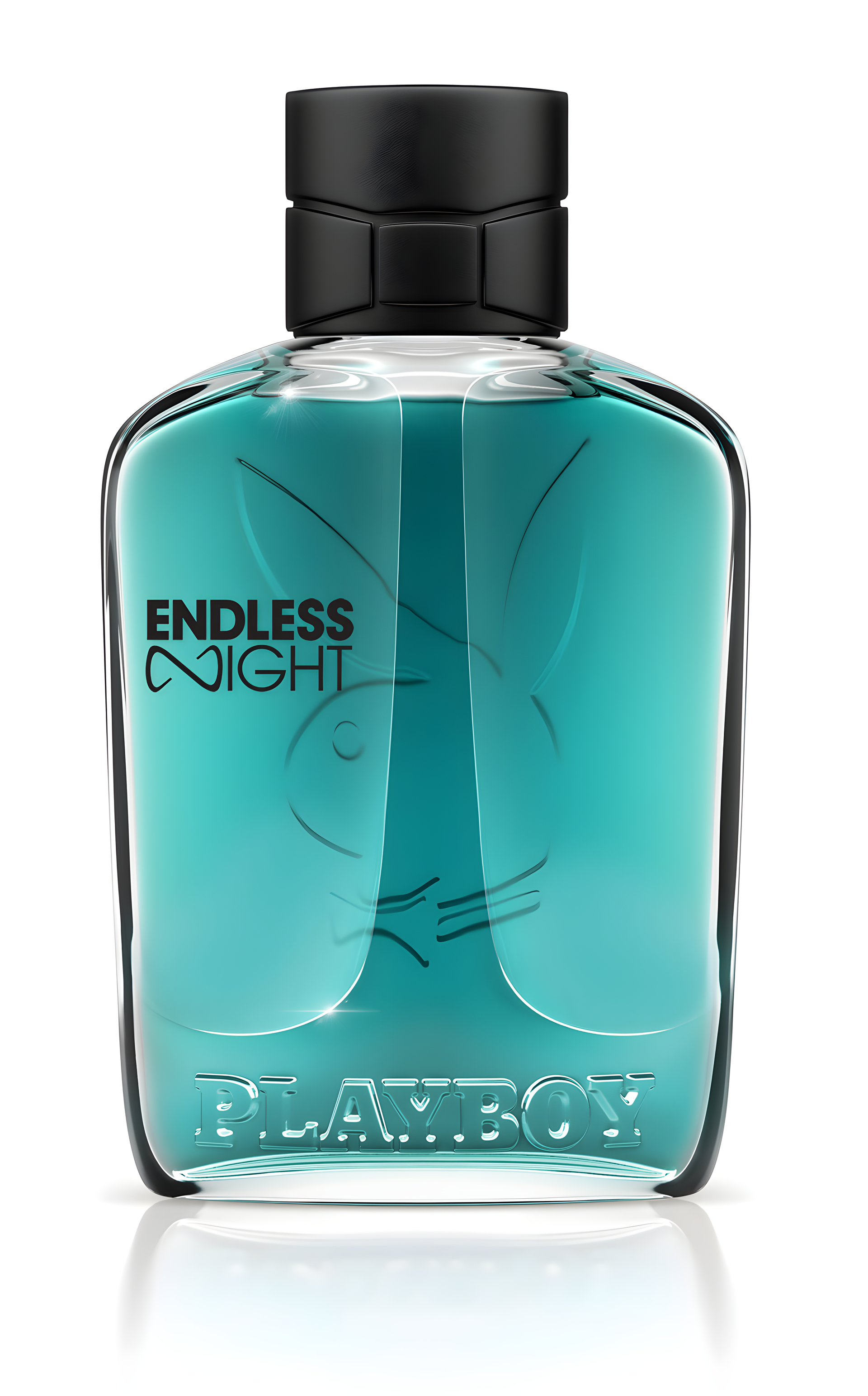 Endless Night for Him by Playboy perfume bottle