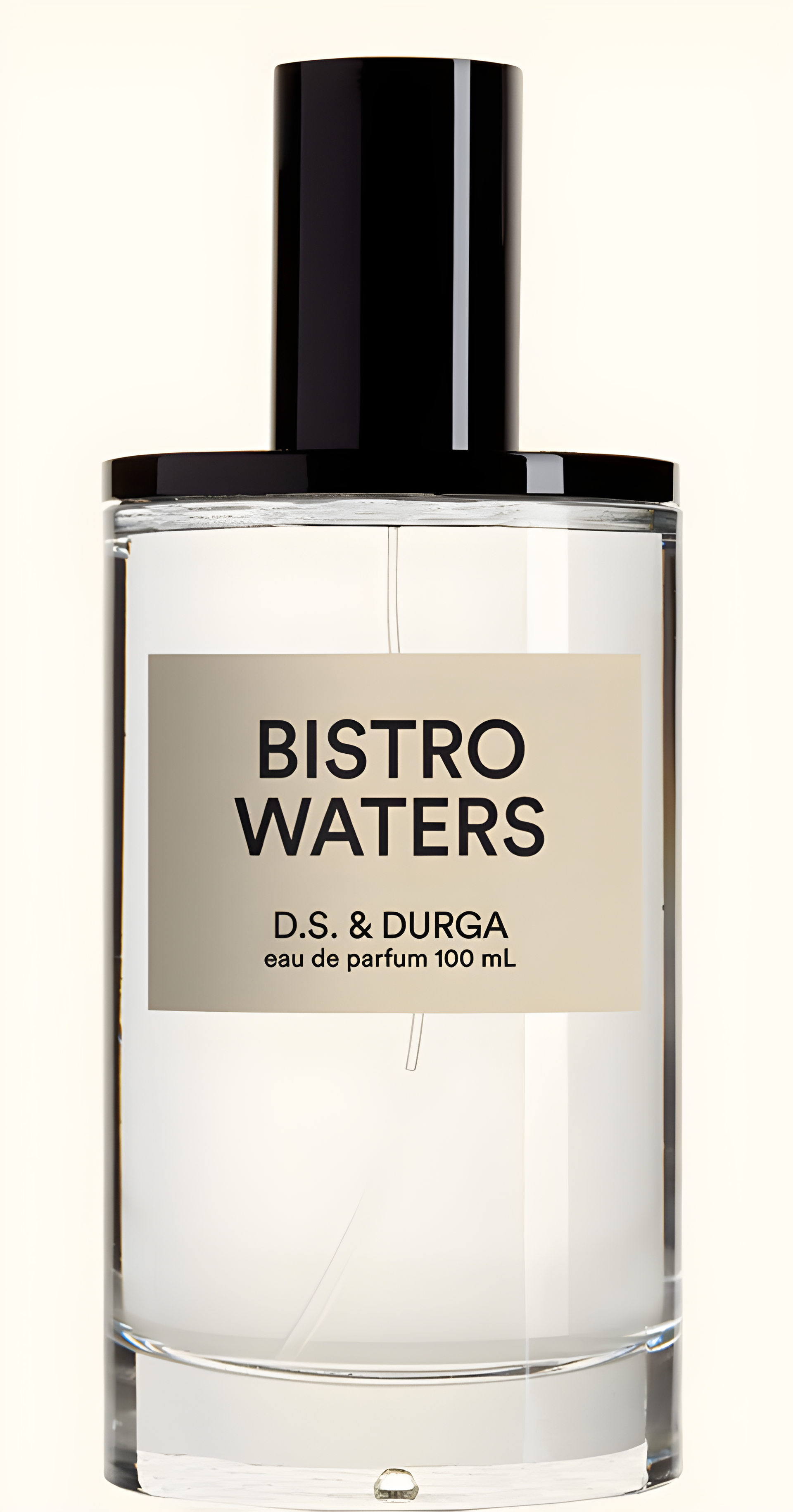 Bistro Waters by DS&Durga perfume bottle