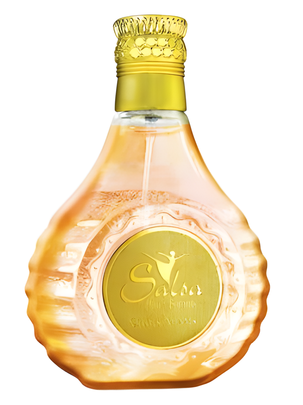 Salsa by Chris Adams perfume bottle