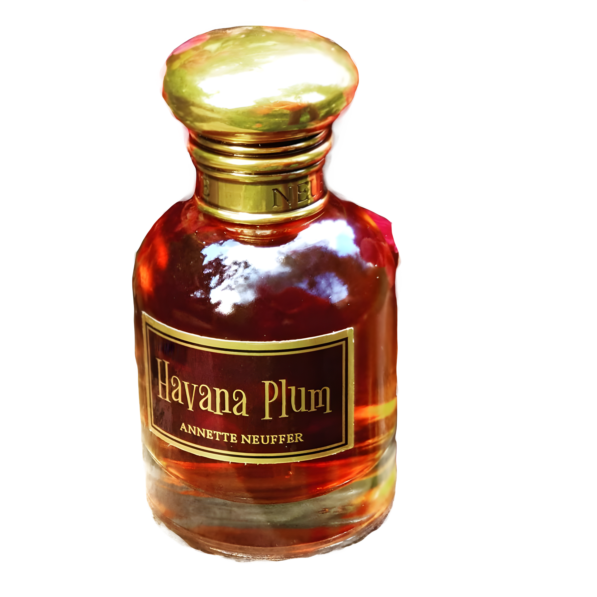 Havana Plum by Annette Neuffer perfume bottle
