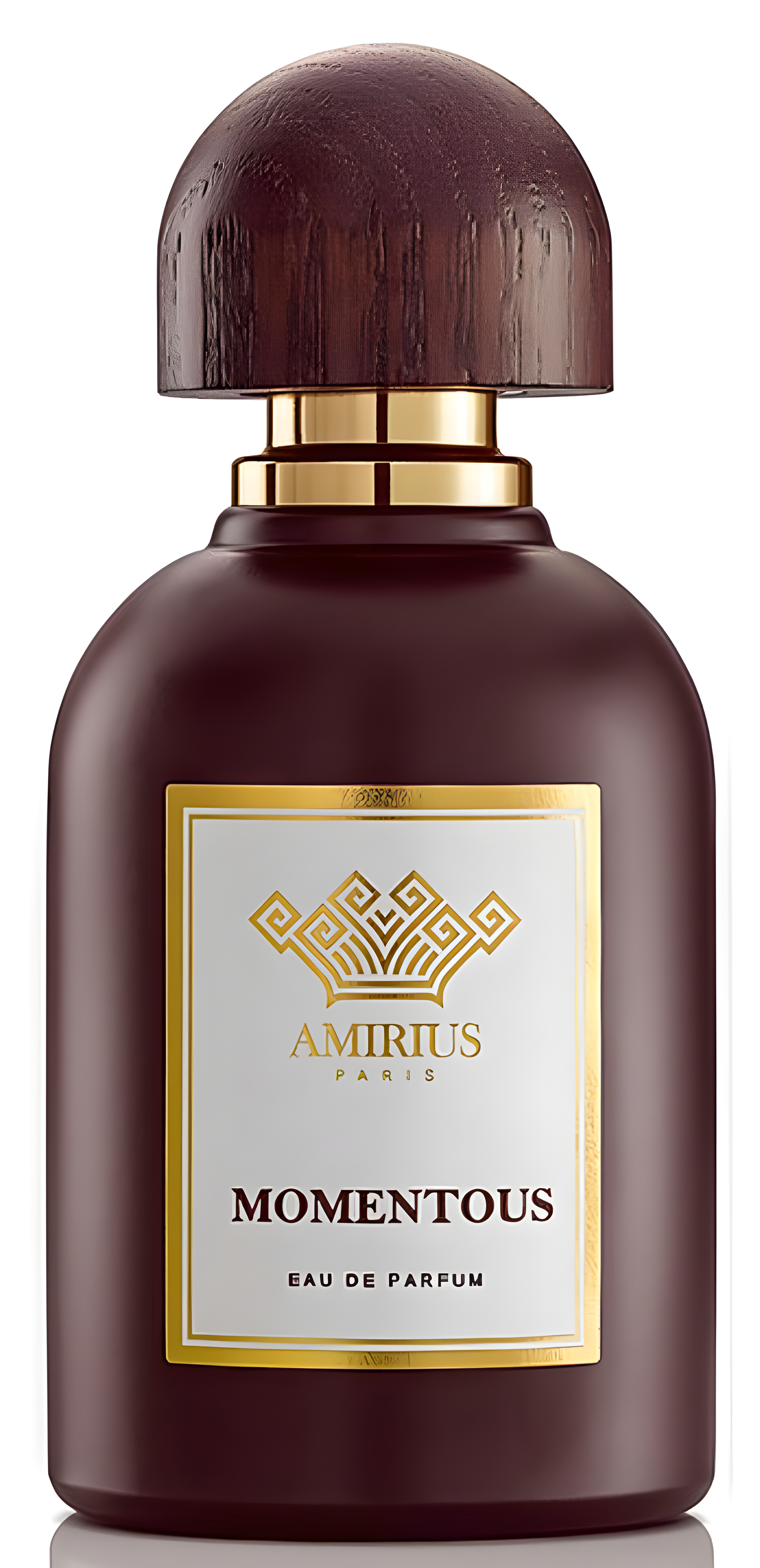 Momentous by Amirius perfume bottle