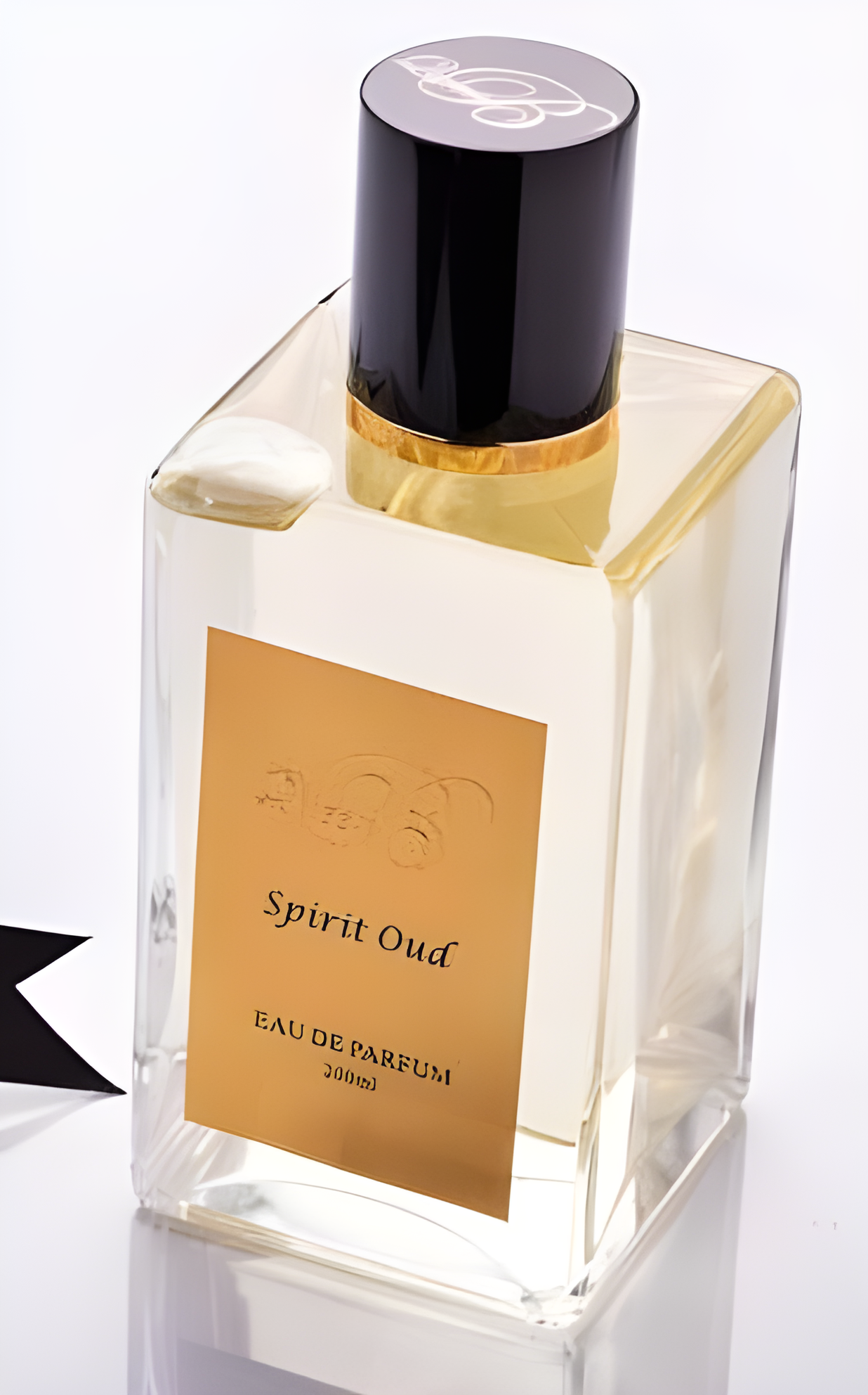 Spirit Oud by Queen B perfume bottle