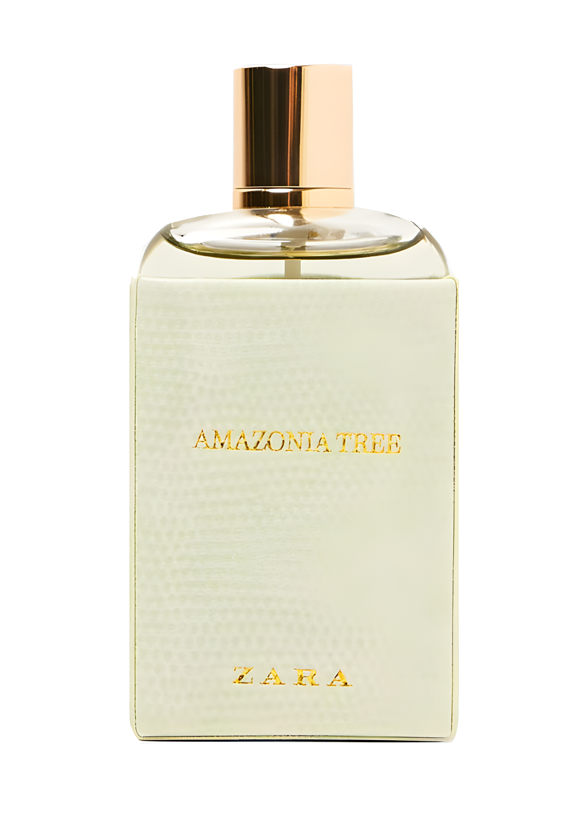 Amazonia Tree by Zara perfume bottle