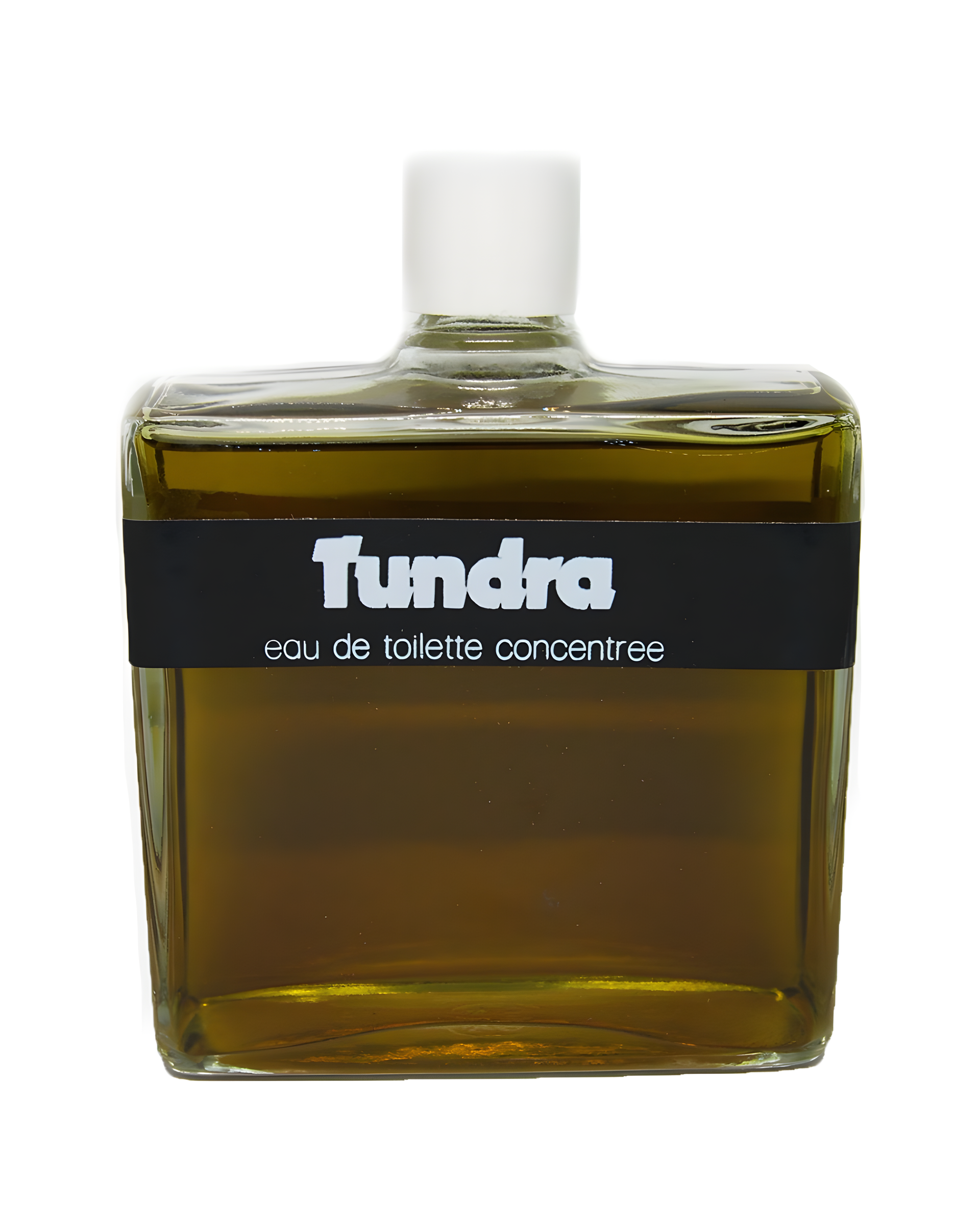 Tundra by Союзпарфюмерпром (Soyuzparfumerprom) perfume bottle