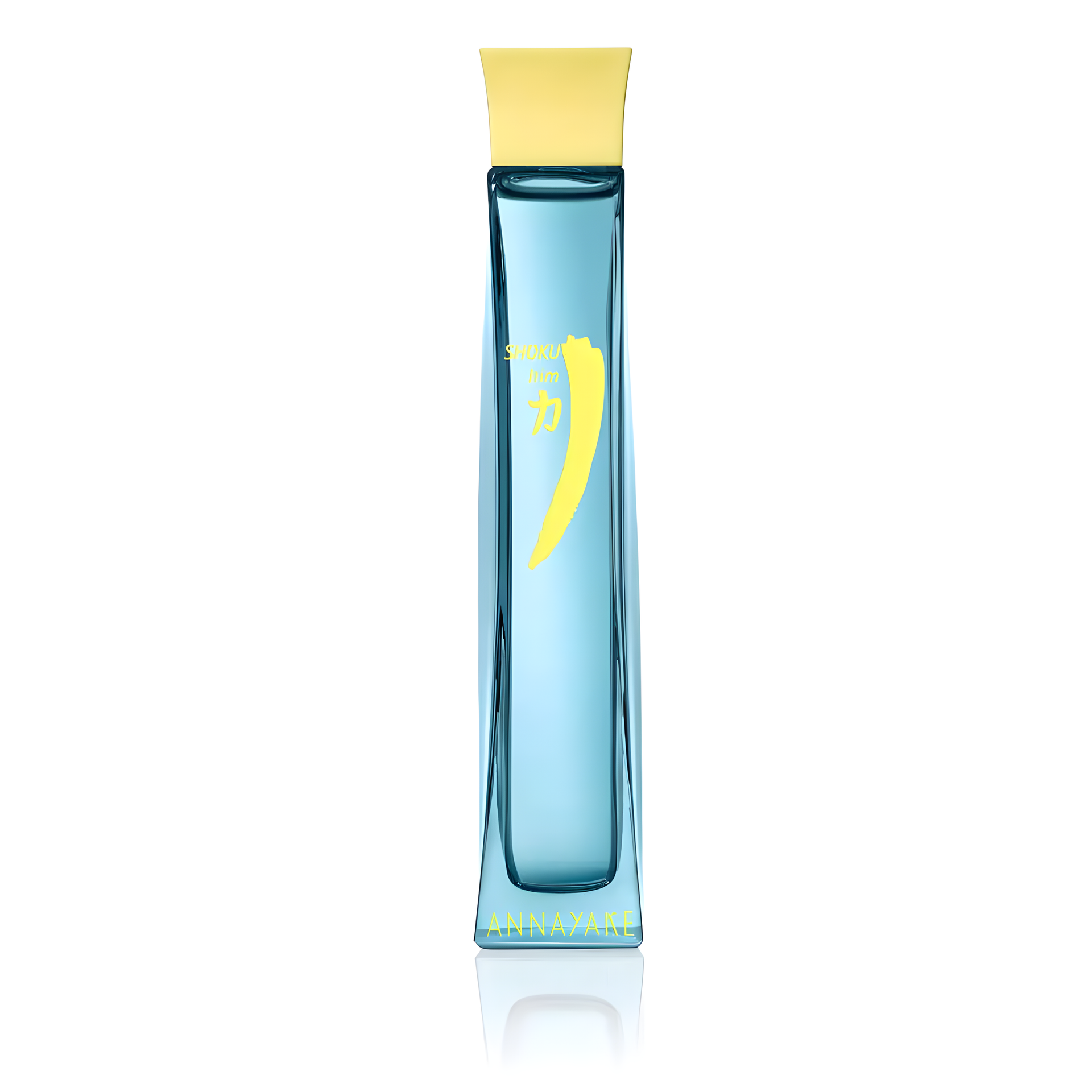 Shoku for Him by Annayake perfume bottle
