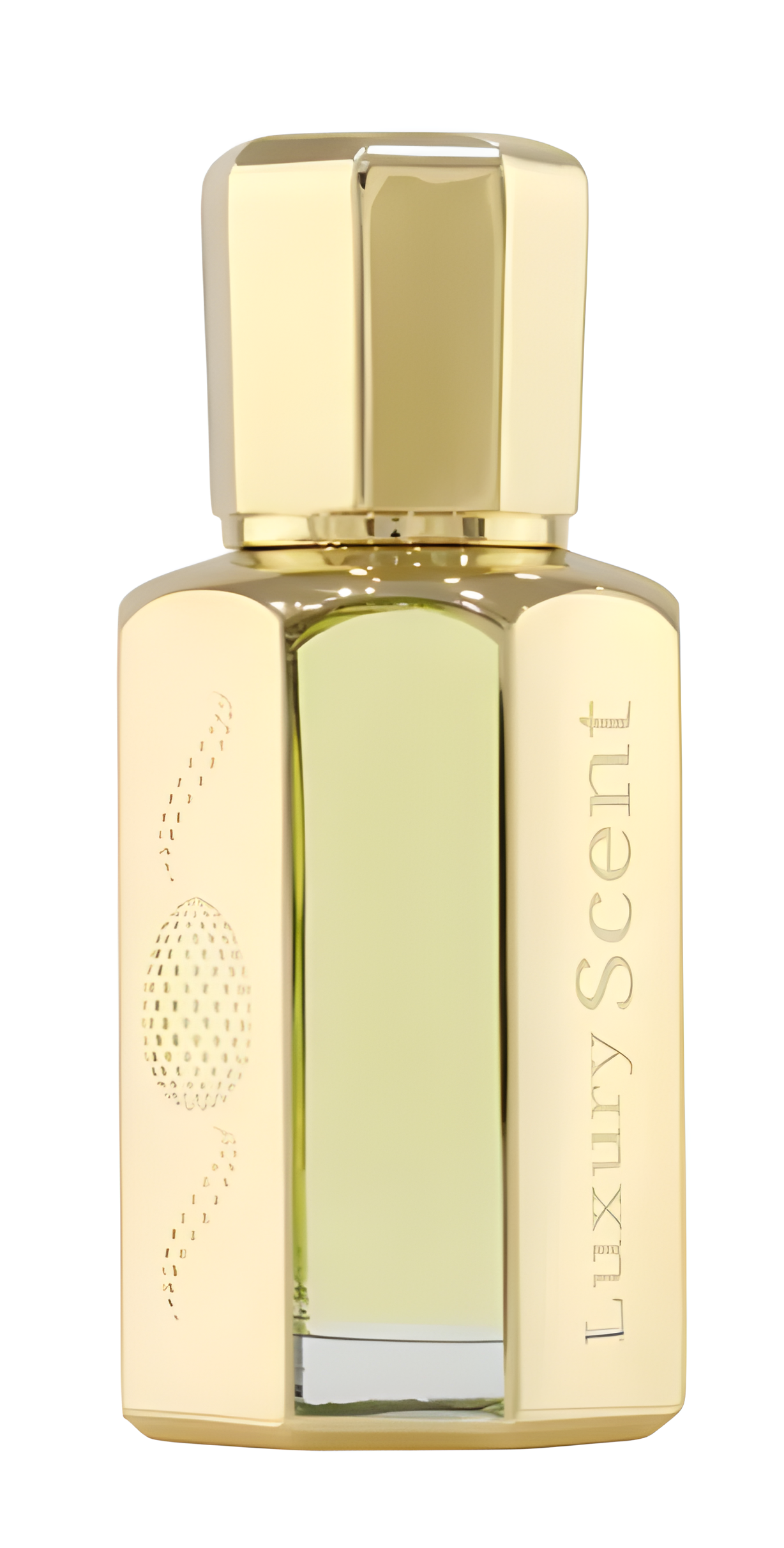 Ambergris Super by Luxury Scent perfume bottle