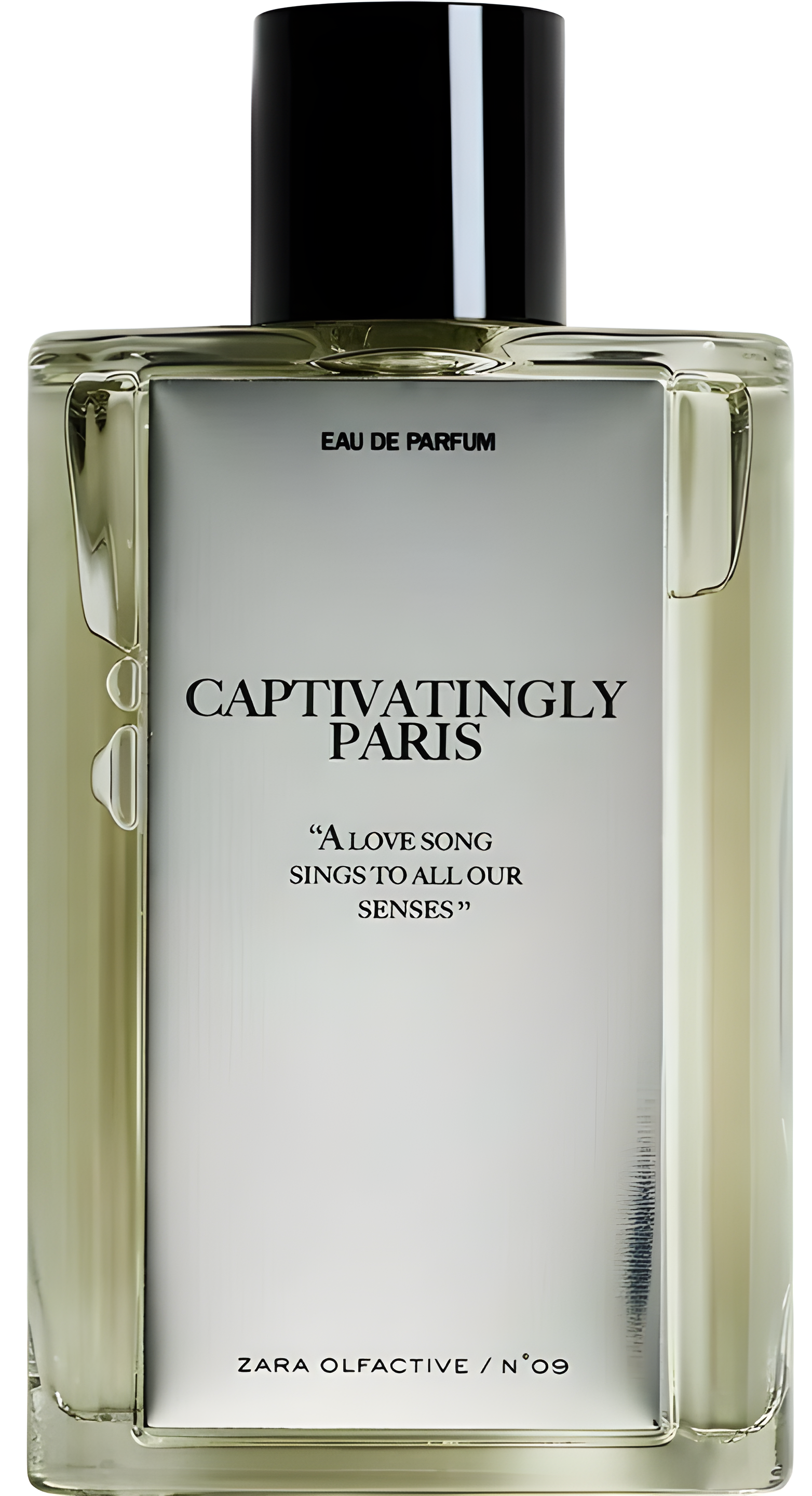 Captivatingly Paris by Zara perfume bottle