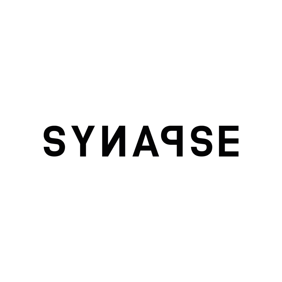Picture of Synapse brand