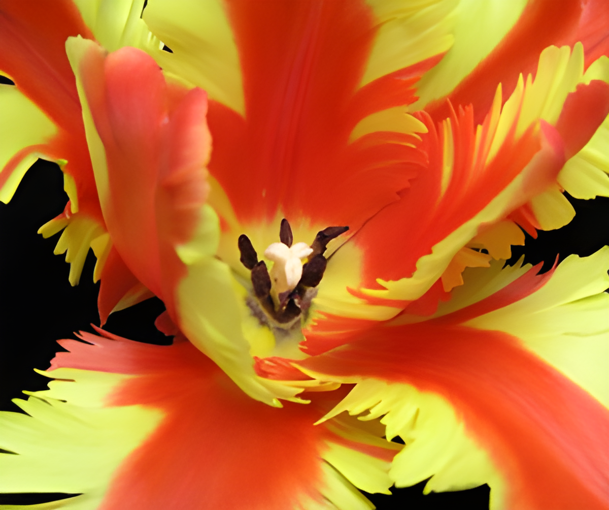 Jezebel by Bud Parfums perfume bottle